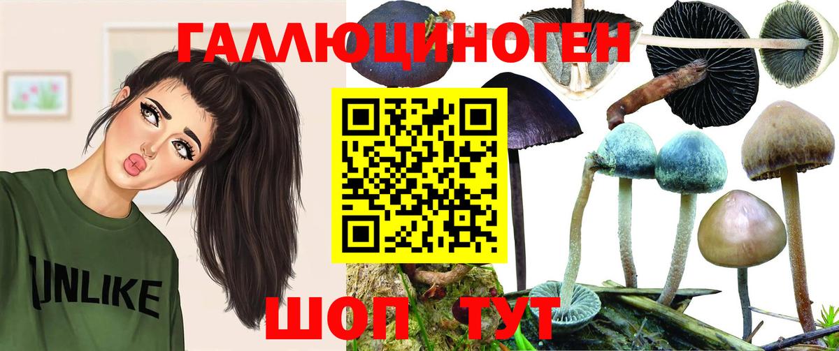 Кохма  Галлюциногенные грибы ЛСД  Галлюциногенные грибы мицелий  Вход с VPN 